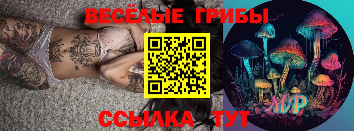 Верхний Уфалей  купить наркоту  Вход с VPN  Галлюциногенные грибы MAGIC MUSHROOMS 