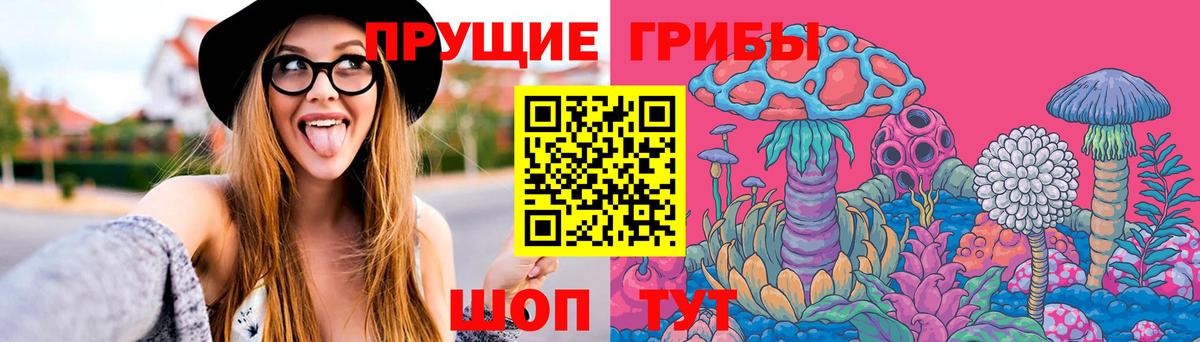 Галлюциногенные грибы Psilocybine cubensis Верхний Уфалей
